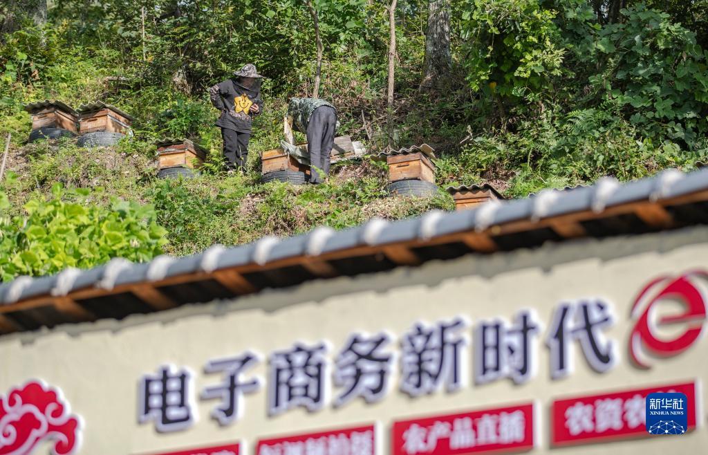 巴黎人现金盘
